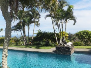 Haiku Maui homes