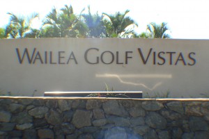 Homes in Wailea Golf Vistas