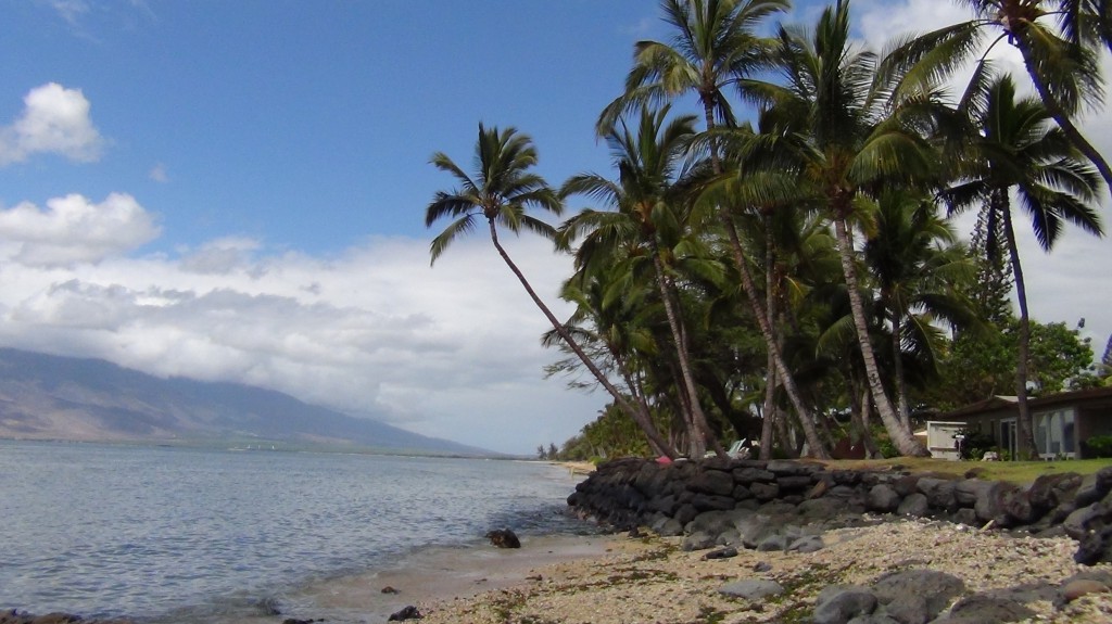 maui homes for sale