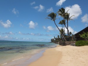Kihei Oceanfront homes