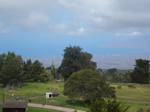 homes in kula for sale