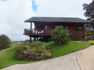 Homes in Kula Maui
