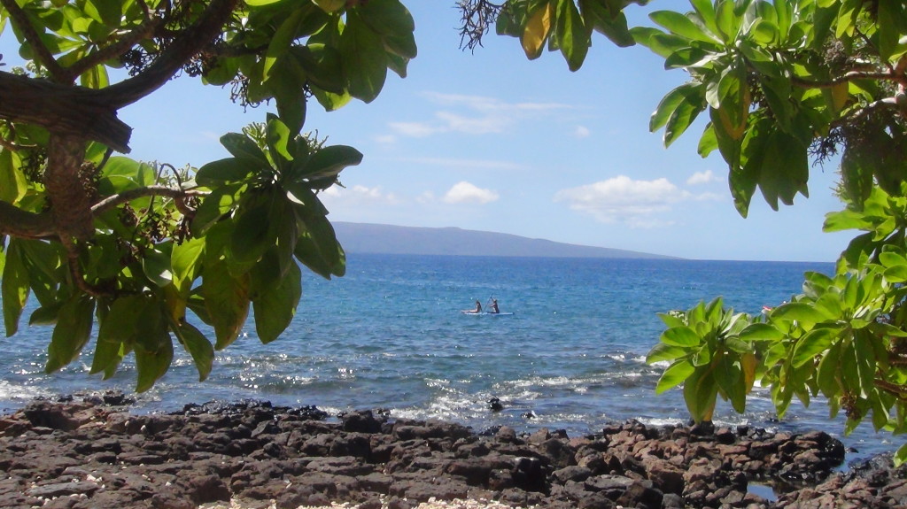 andaz hotel wailea maui