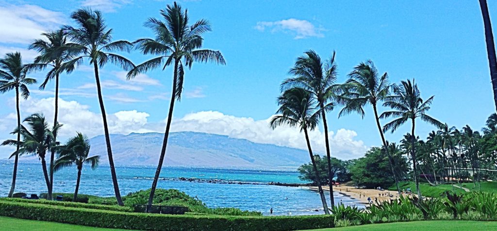 Wailea Luxury Properties