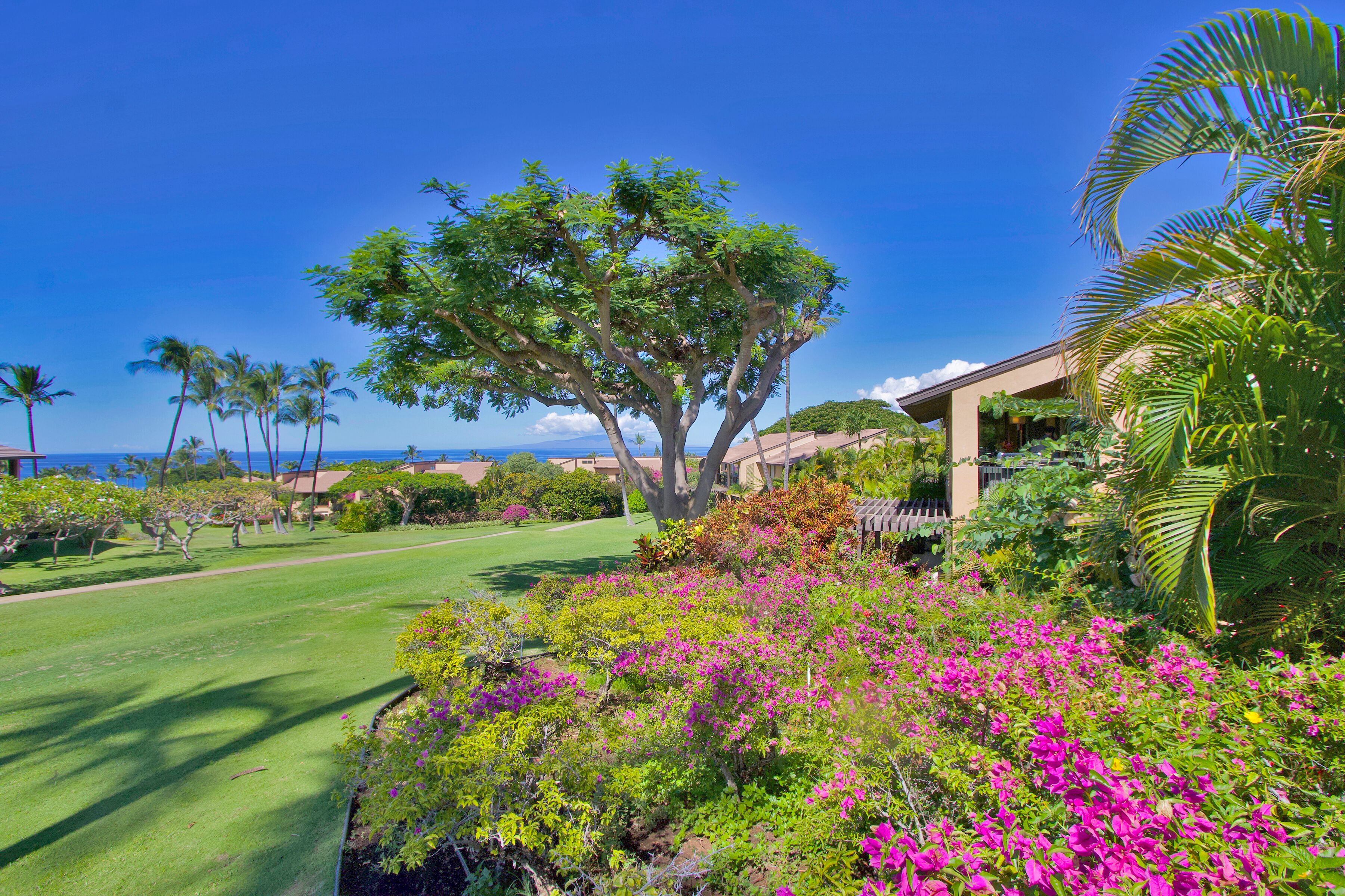 Wailea Condos For Sale - Maui Real Estate