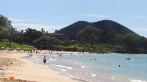 Makena Oceanfront Homes