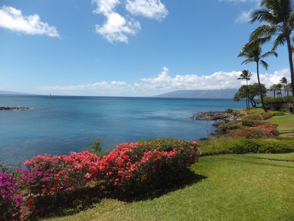 Napali point Oceanfront Condos Maui