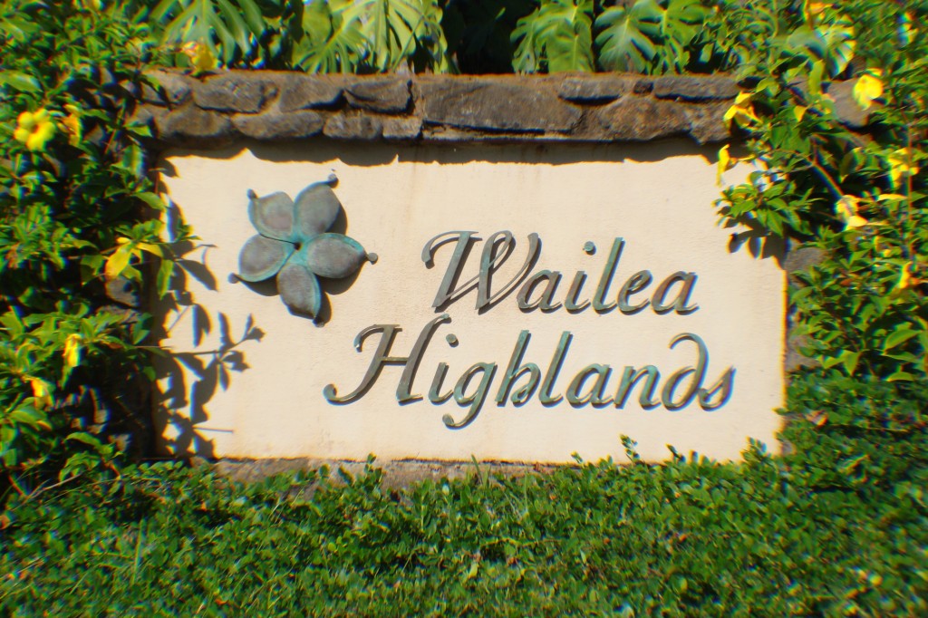 Wailea Maui Homes for sale Wailea Maui Homes For sale