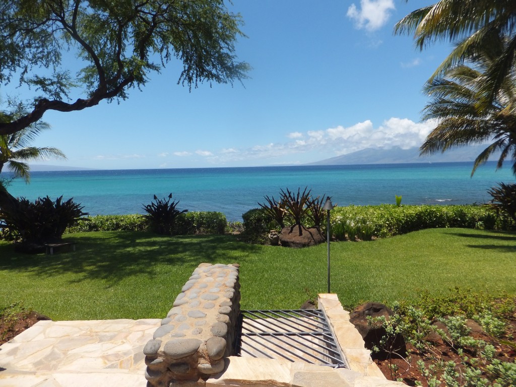 Kapalua Oceanfront Homes
