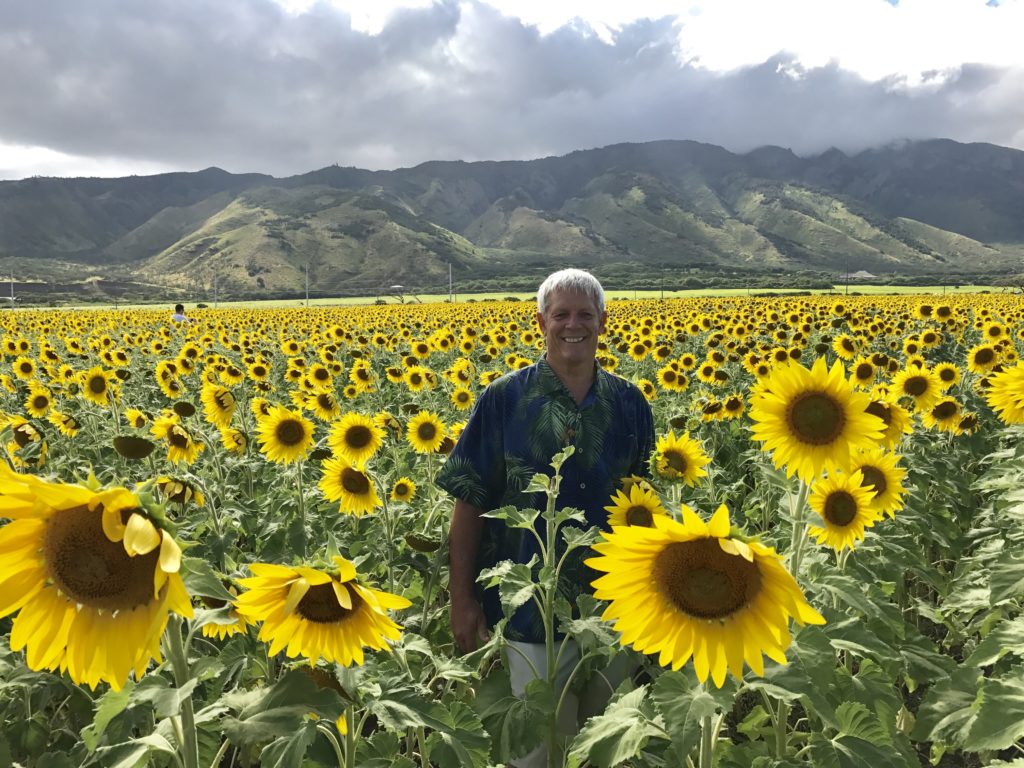 Maui Sun Flowers