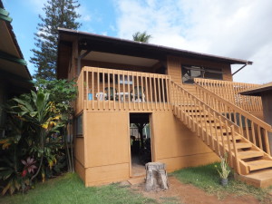 homes in maui