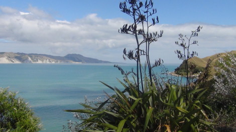 new zealand