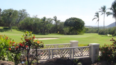 Wailea Golf