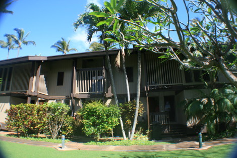 Sugar Cove Maui