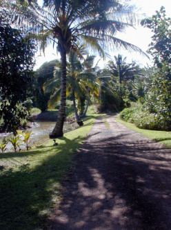 Buying homes in Kauai
