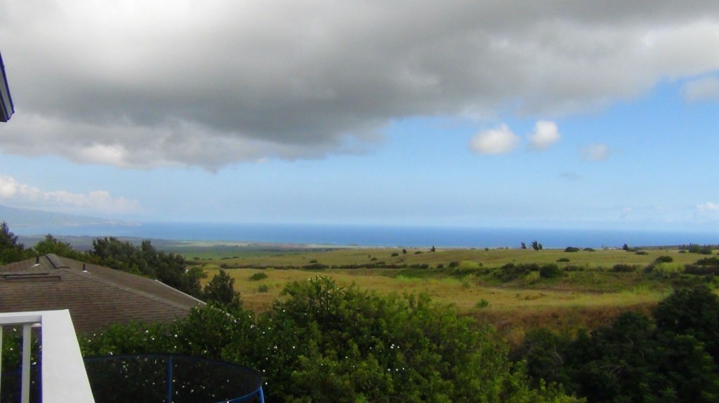 Homes in Maui