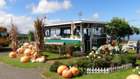 Kula Homes Maui