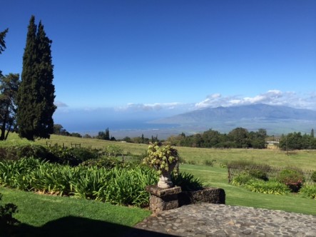 Homes in Kula Maui