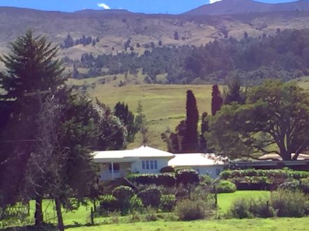 Homes in Kula Maui