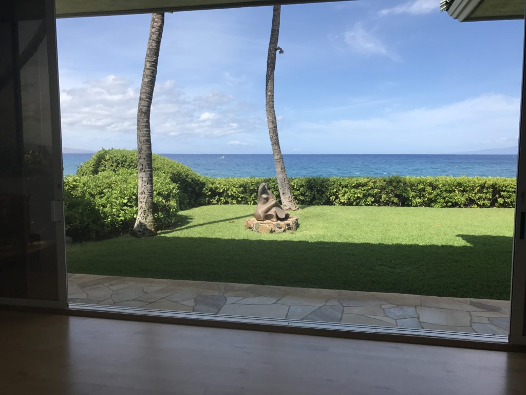 Maui oceanfront homes