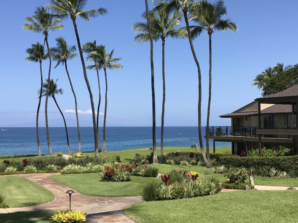 Wailea Elua