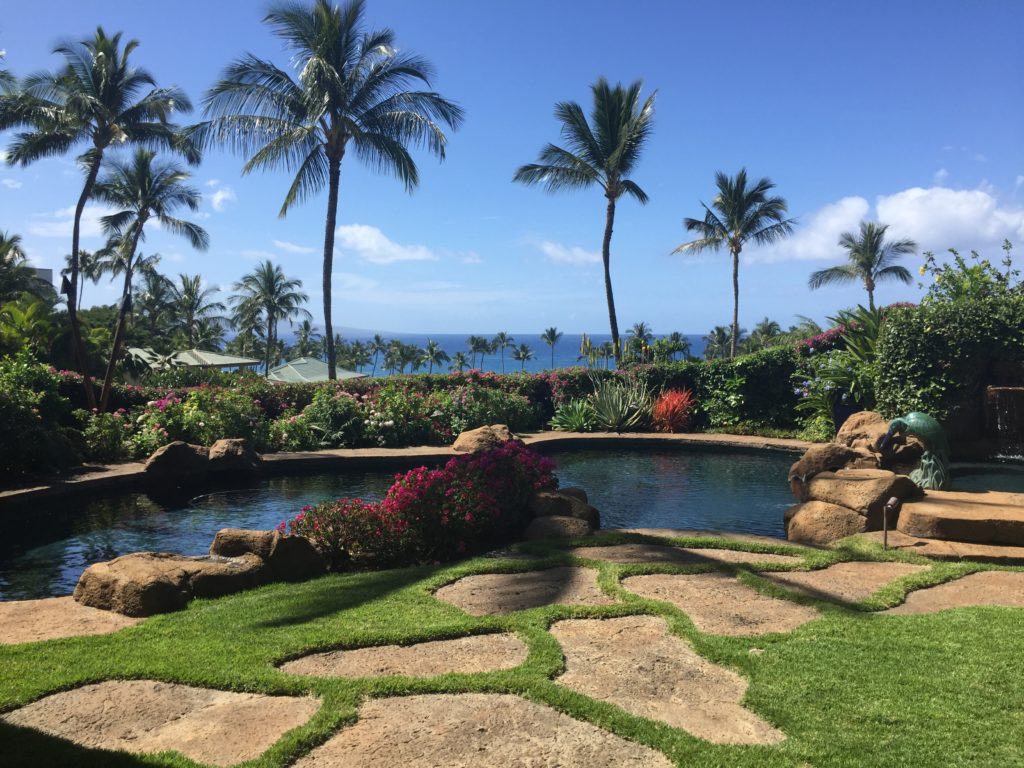 Wailea Pualani