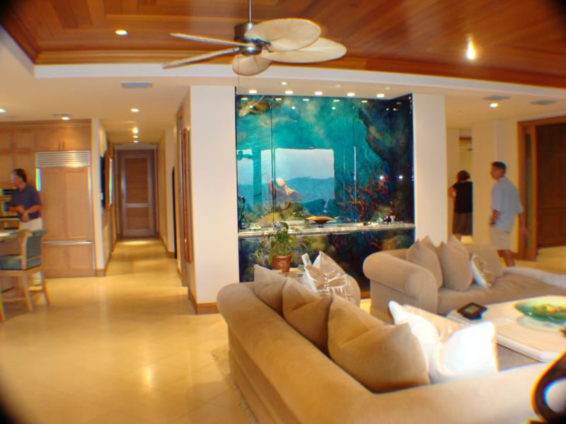 Maui Real Estate