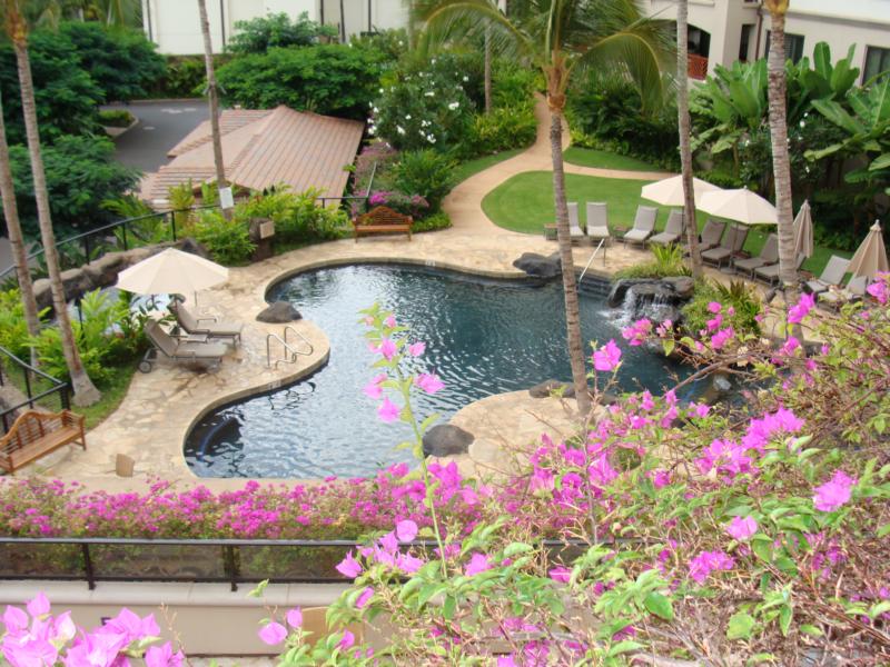 Wailea Oceanfront Condos
