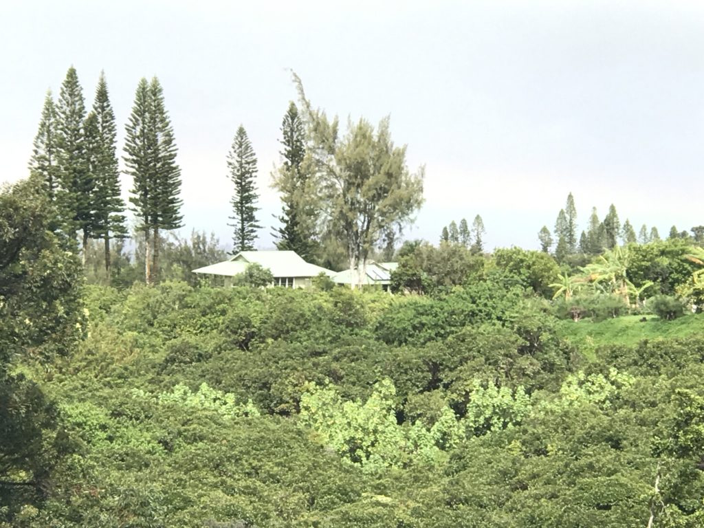 Homes in Haiku Maui