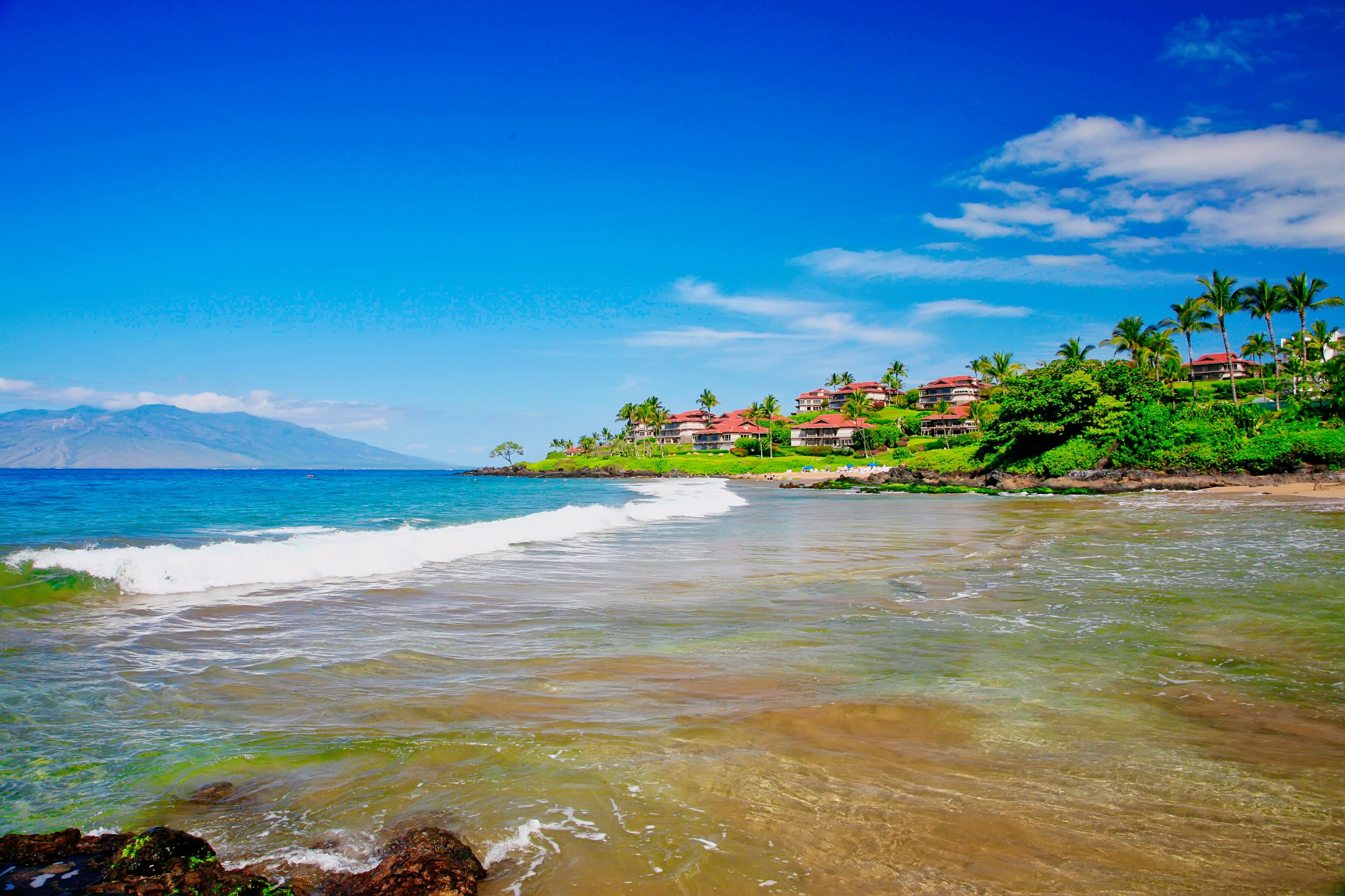 Wailea Point Maui - Maui Real Estate