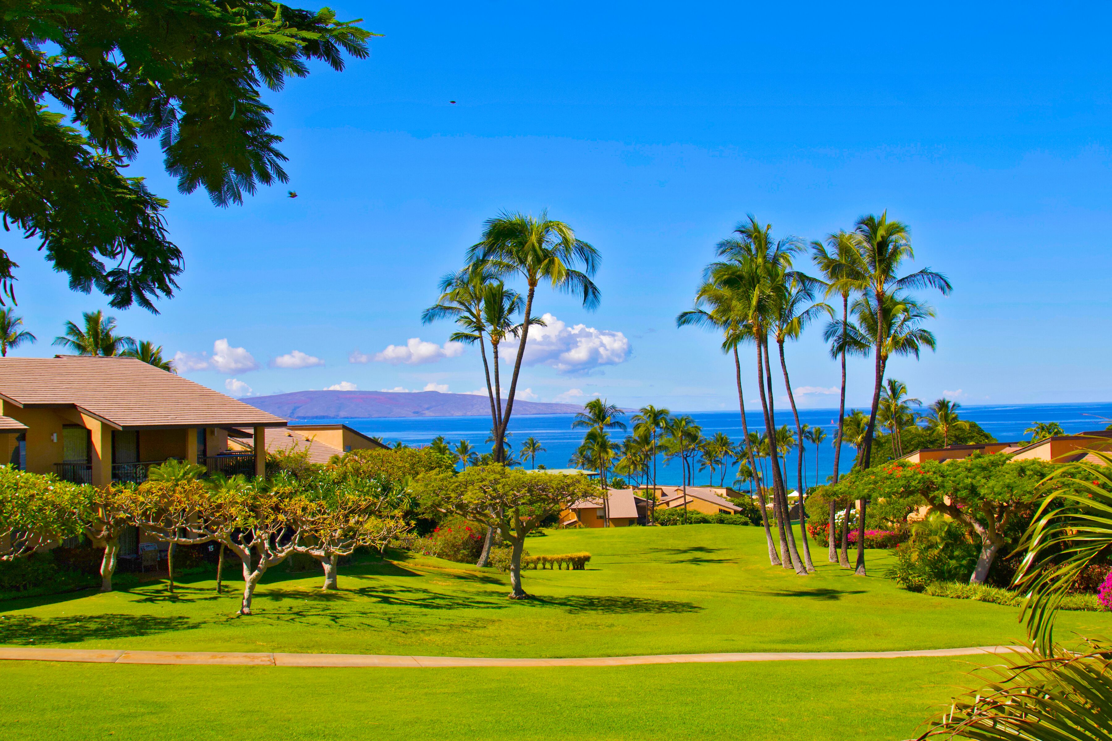 Wailea Resort Maui Real Estate