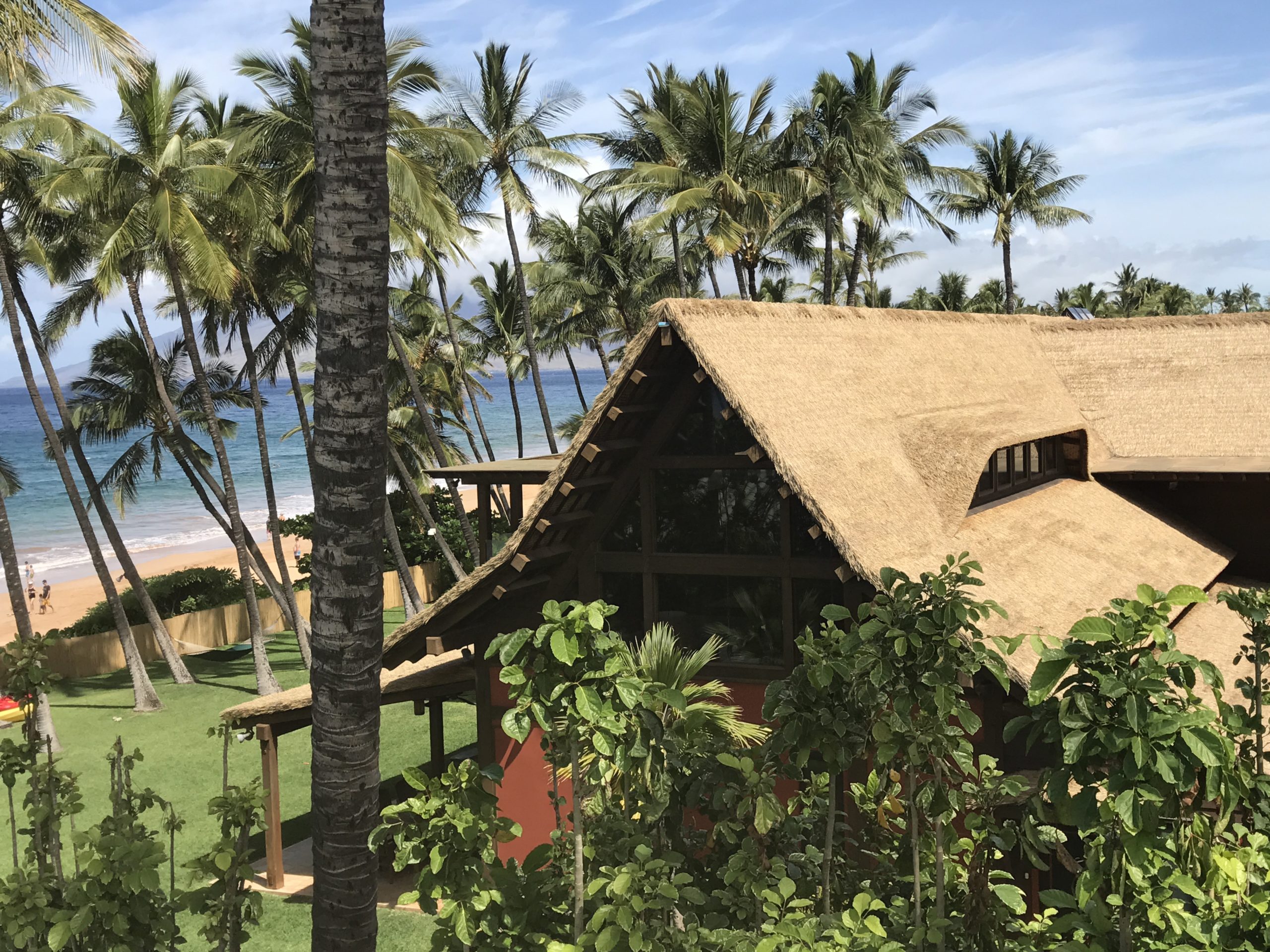 Maui Luxury Real Estate