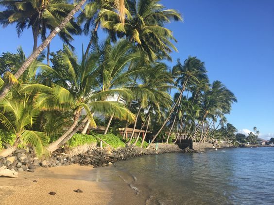 Maui Real Estate