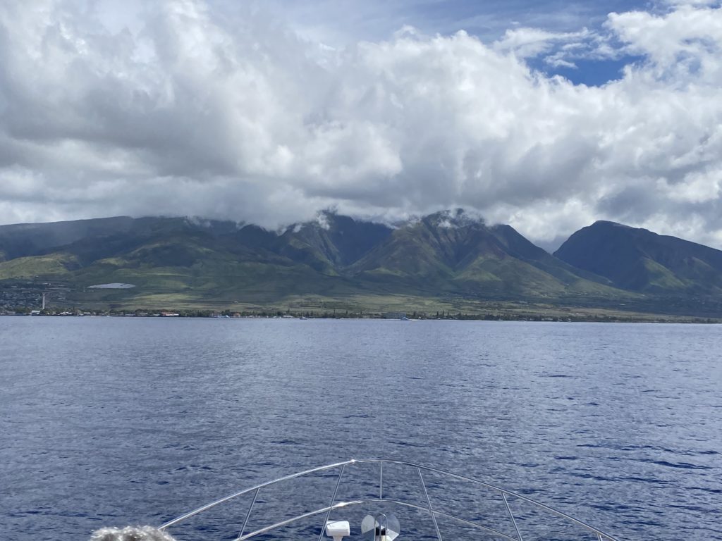 Maui island-wide