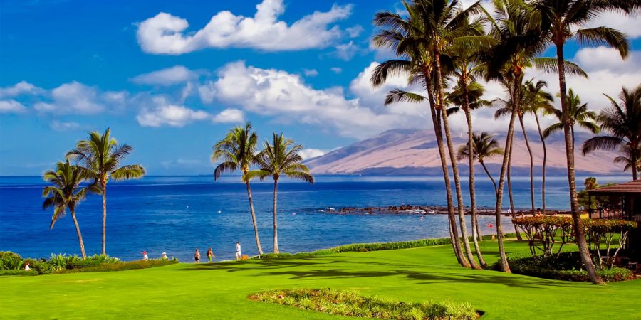 Living Maui Life