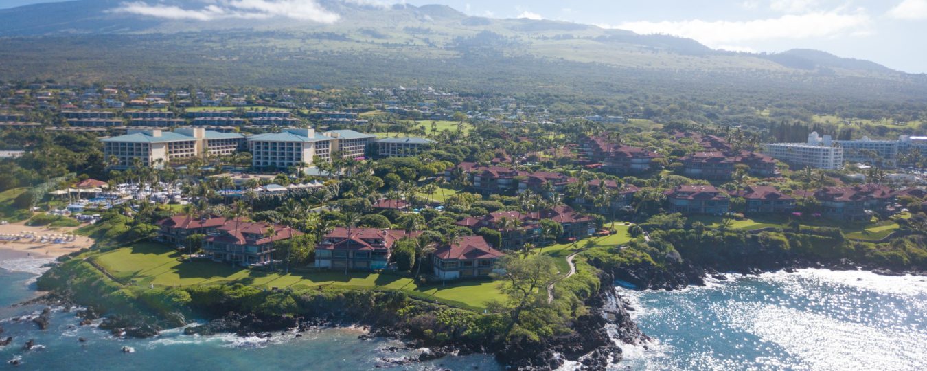 Wailea Point