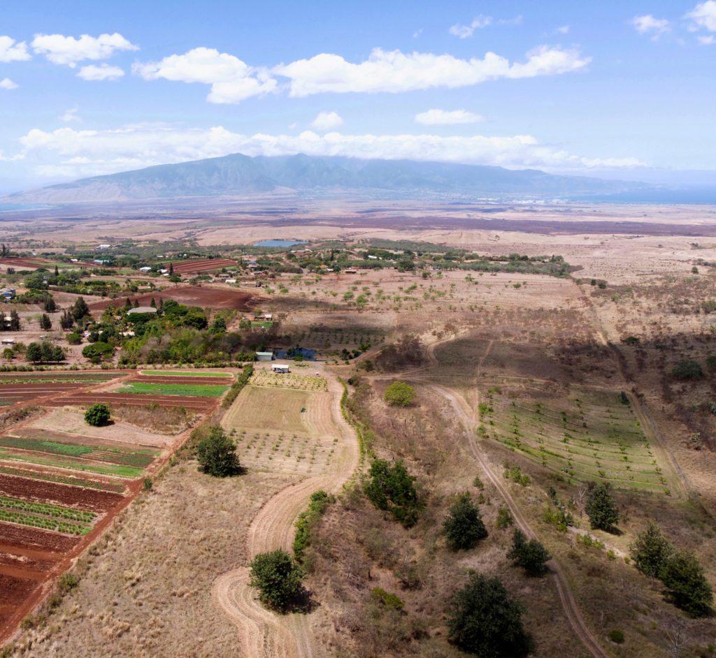 Kula farm that I sold